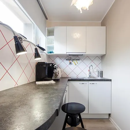 Apartment Scandinavian Style In Center *